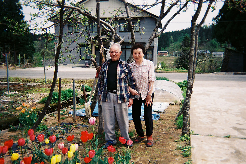 サムネイル： 食用菊 (由利本荘市産) 200g