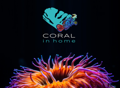 #FotocopiasAranjuez #ImpresionesAranjuez 
#ImprentaAranjuez #plotterAranjuez #Diseñowebaranjuez #DiseñoGraficoAranjuez
