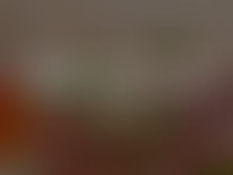 Integratore Alimentare con estratti di Rosa Canina: un tocco naturale per il benessere