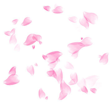 Fleurs_02.jpg