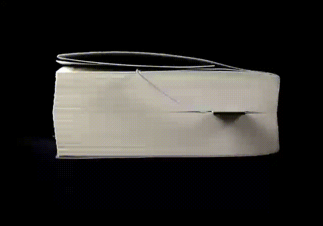 video-2-copia.gif