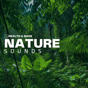 [Playlist] Nature Sounds