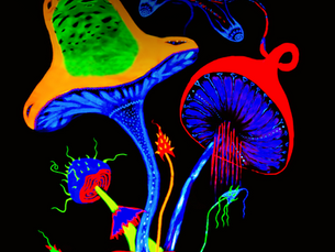 Sound + Psychedelics