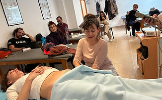 El estudio y tratamiento de la zona visceral va dirigido a las membranas que unen los órganos y sus superficies de deslizamiento, para elastificar las restricciones y adherencias de las serosas según sea la cavidad torácica o abdominal.