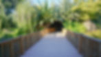 DSC07792.jpg