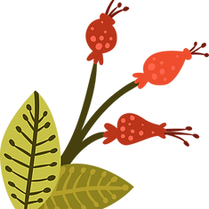 Blume