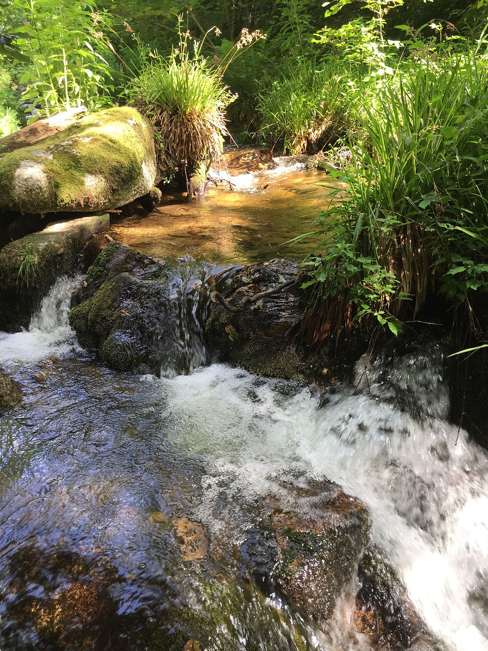 ruisseau du sapey