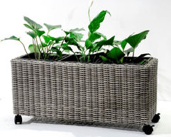 Garden_Wicker159.jpeg