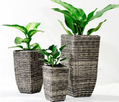 Garden_Wicker157.jpeg