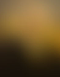 A Cornerstone in American History and Culture