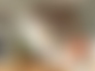 duster cleaning dust in home