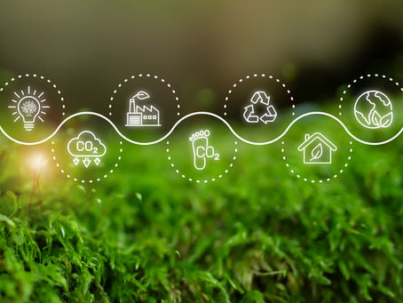 Eco-themed icons (light bulb, factory, recycling, footprint, house, Earth) on a wavy line over green moss, emphasizing sustainability.
