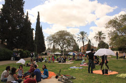 פיקניק ב"שכונה