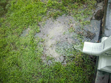 Gutters Leaking due to lack of maintenance 