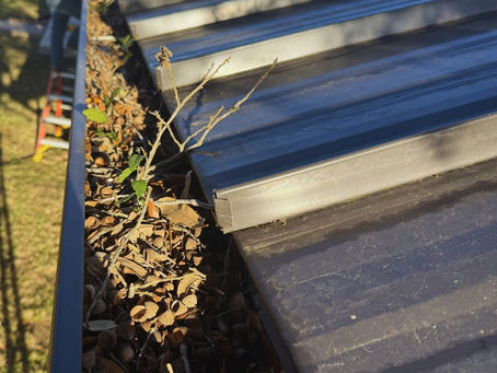 Gutters need cleaning from professionals