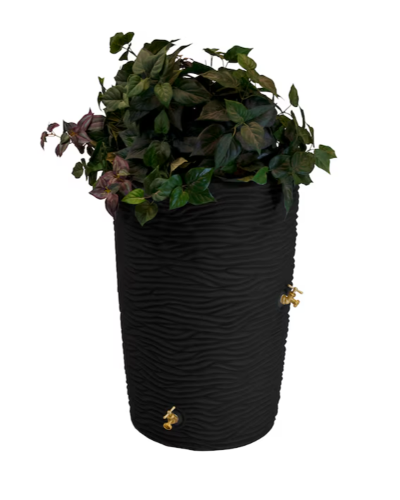 Thumbnail: Palm Rain Barrel - 50 Gal