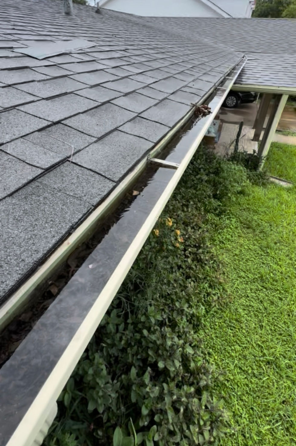 Standing water is perfect for mosquitoes nesting.