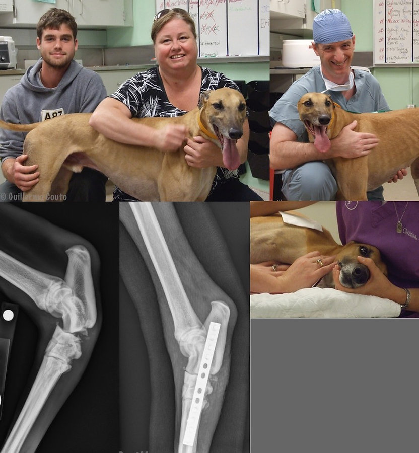amhurstcomposite-2_med_hr.jpeg
