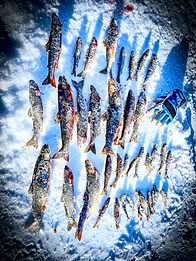 Arctic Tours Saariselka Lapland (14)_edited.jpg