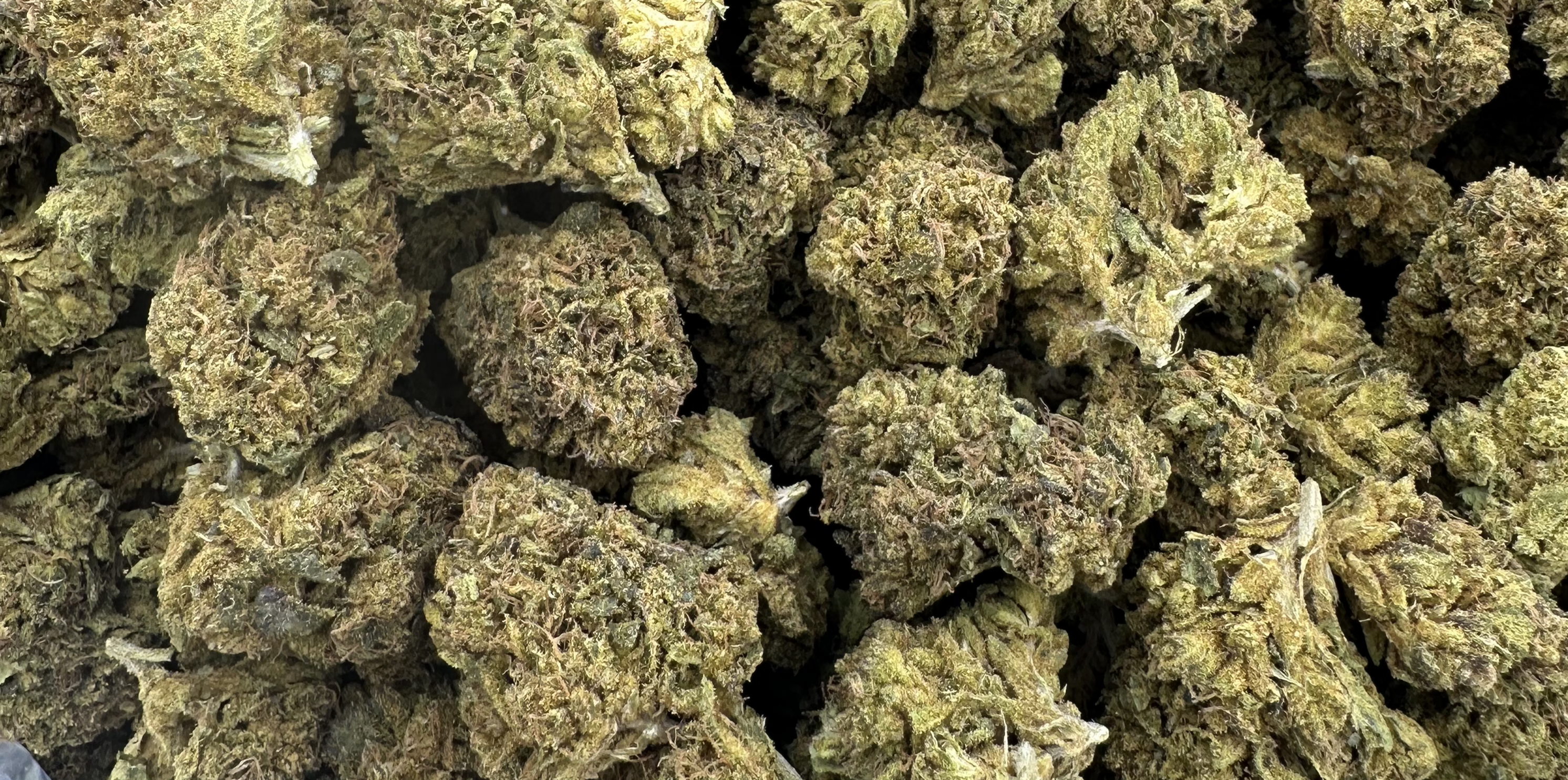 Garlic Budder - Indica. 1 oz gift Special