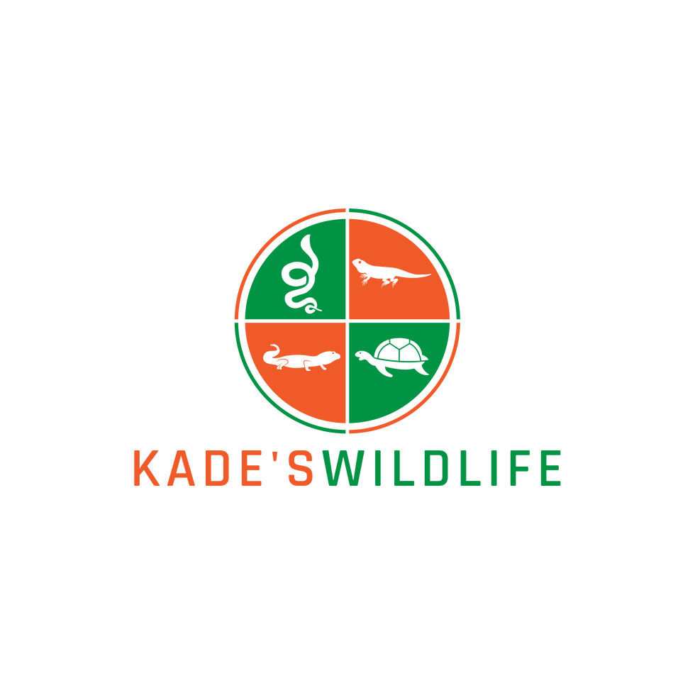 397_Kade s Wildlife_JK_DB 1.png