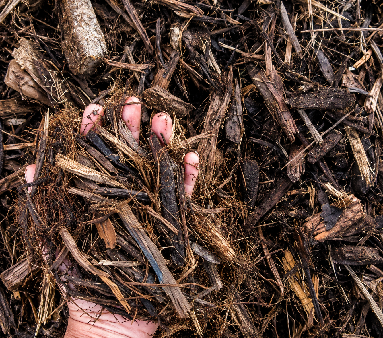 PureGrow Organic Mulch