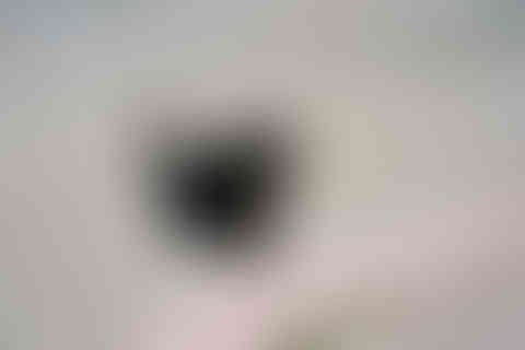 FullSizeRender.heic