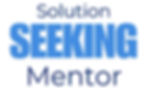 Solution Seeking Mentor