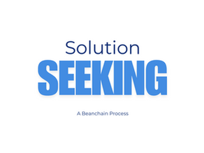 The Solution Seeking System