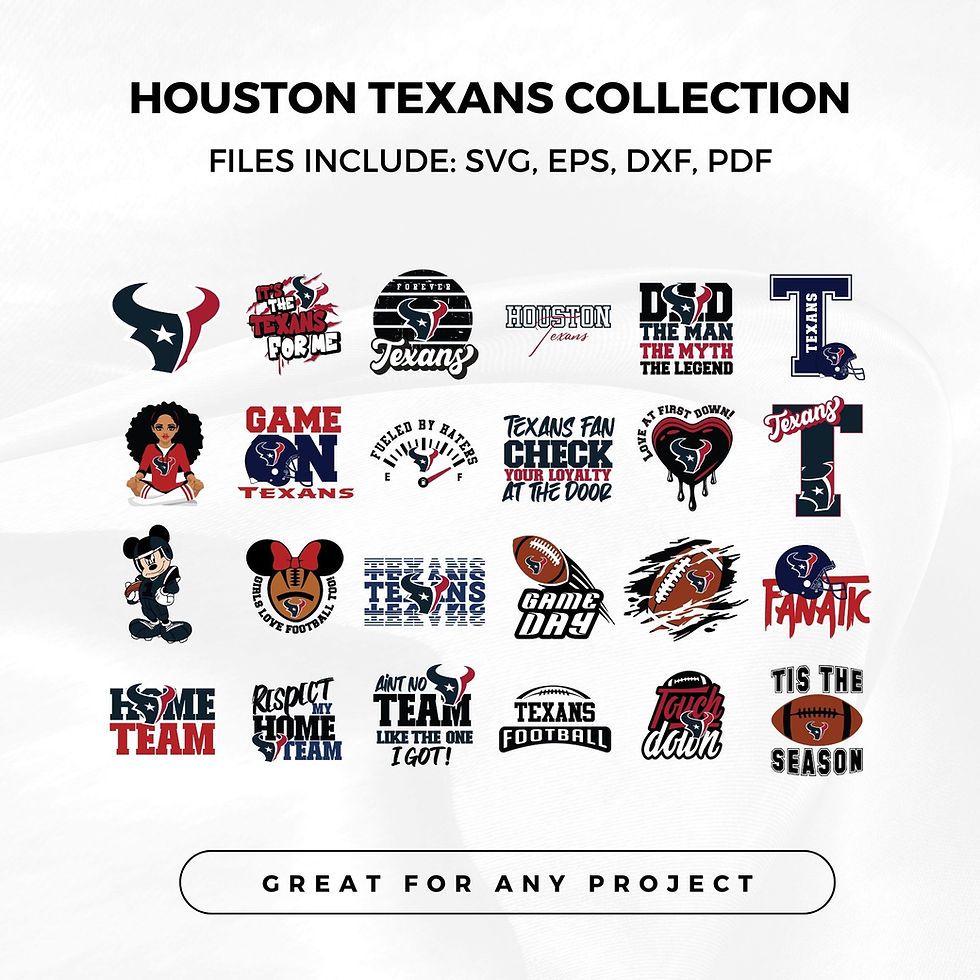 Houston Texans NFL Collection