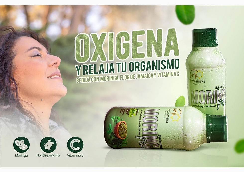 Miniatura: Moringa max