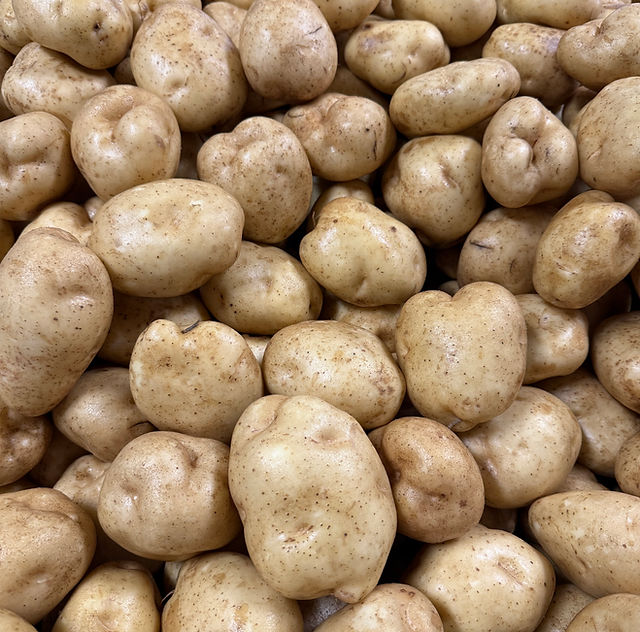 Bell Farms Inc | Potatoes & Sweet Corn | 1552 Riverside