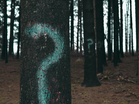 What Happens in Spiritual Direction?