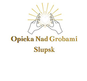 311083209_134722299310487_6885208302790688428_n (1).jpg