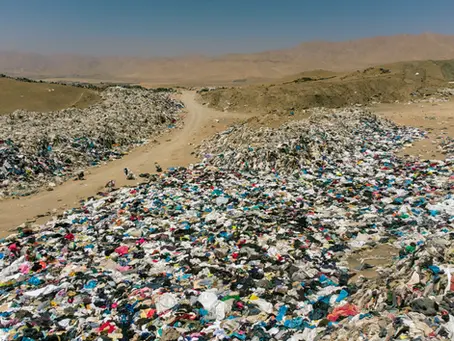 Fighting Fast Fashion