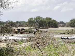 More Land is Being Cleared! 