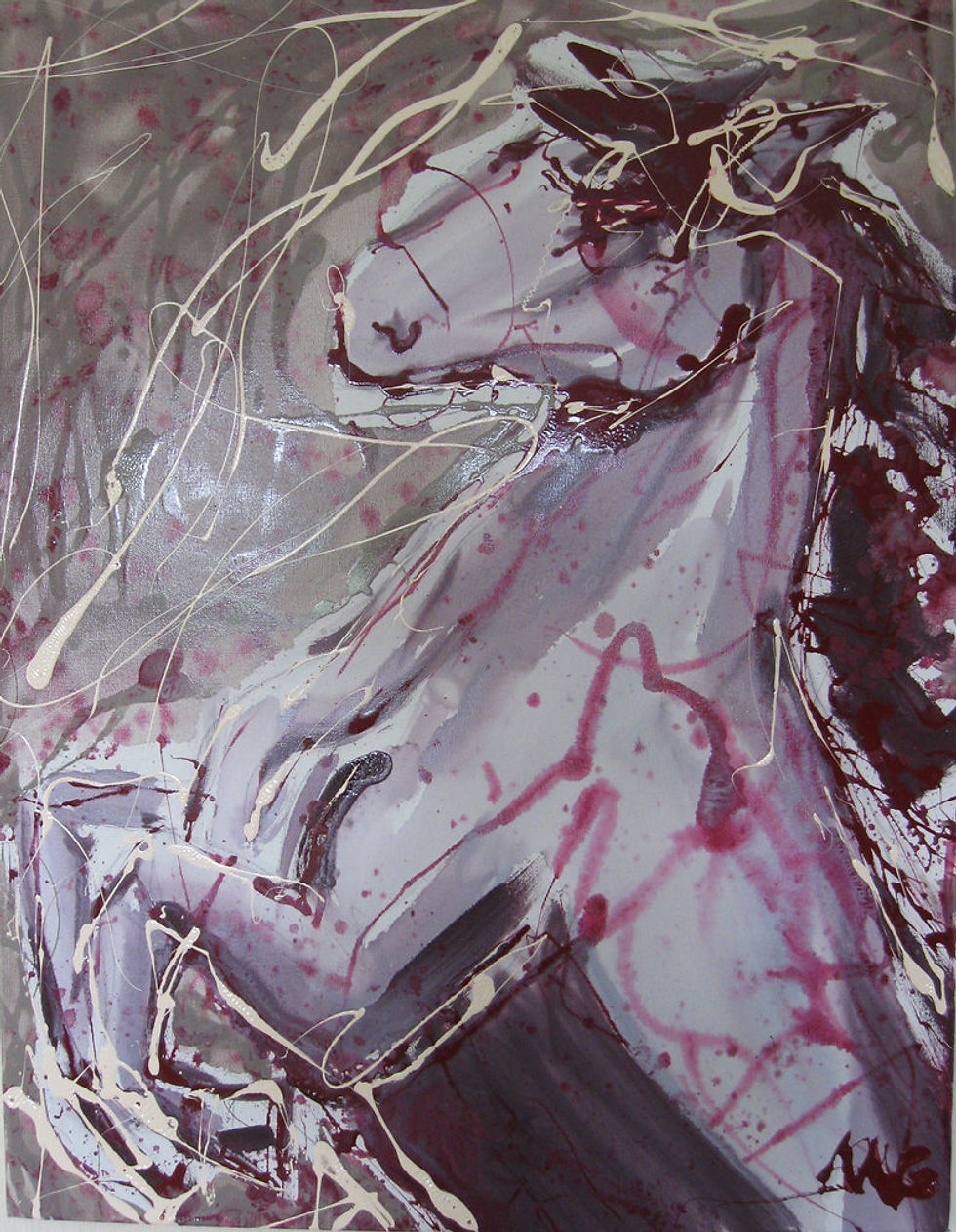 S09 paard