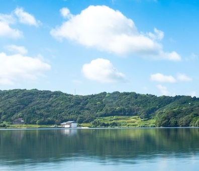 仮屋湾について