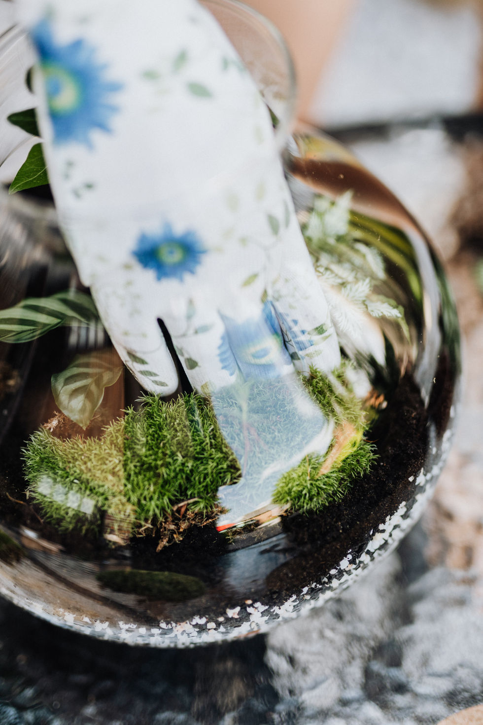 Image of terrarium being designed