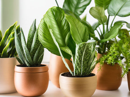 Uncovering the Best-Kept Secrets: The Ultimate Guide to Year-Round Planting