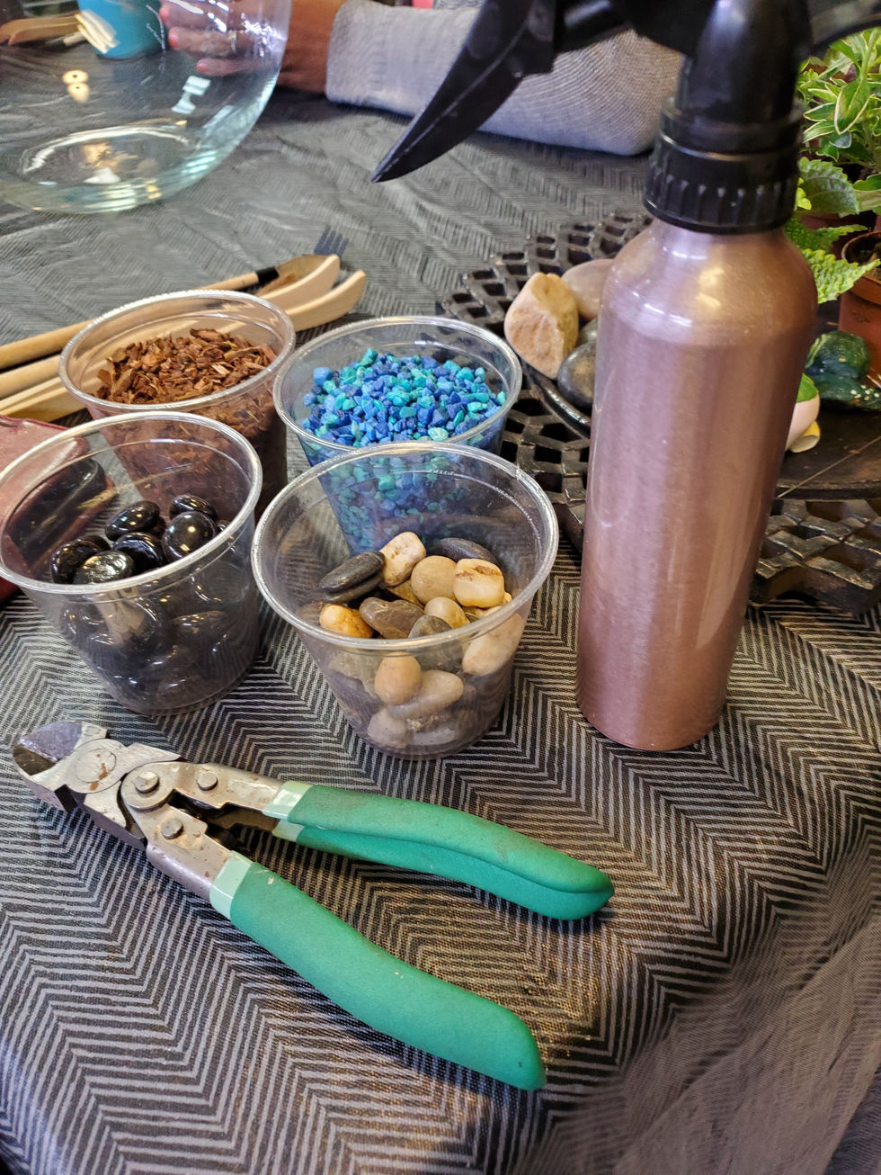 Image of tools and implements for a terrarium building class with Unique Arrangements