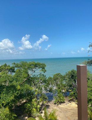 IMG_1954.JPEG
