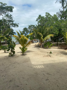 IMG_1669.JPEG