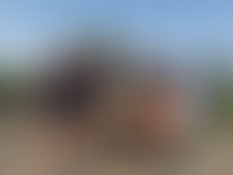 Moving Towards Movement