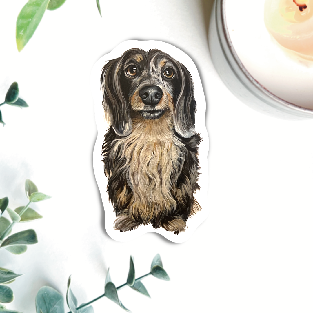 Vinyl  Dog Sticker - Long Haired Dachshund