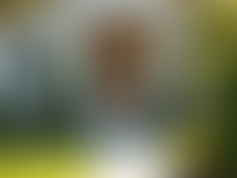 Why Renting Properties is a Smart Investment