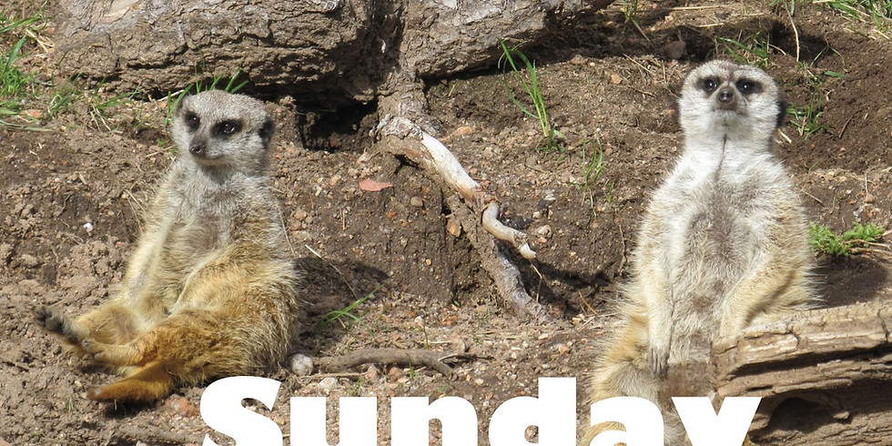 Sunday School Classes
