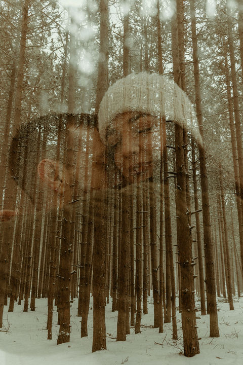 Roots + Wilds Wedding Engagement Elopement Branding Photography Videography Dark Emotive Boho Moody Dubuque Iowa Wisconsin Milwaukee Oregon Michigan Utah Arizona Colorado