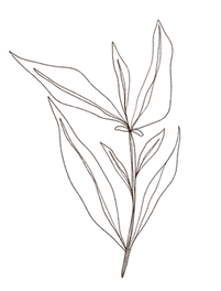 Photo Jun 01, 2 06 00 PM.png