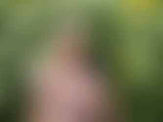 Concord Sunflower Festival 2023